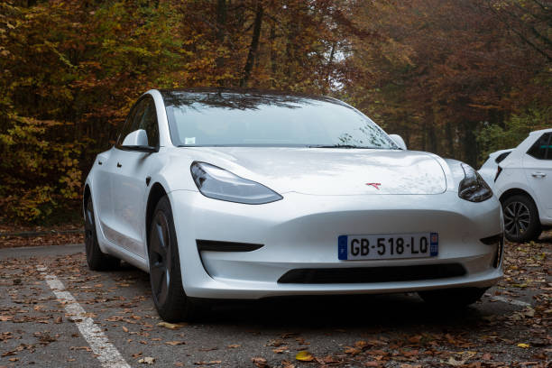 Tesla Model 3 2021 - 2024 AWD Long Range