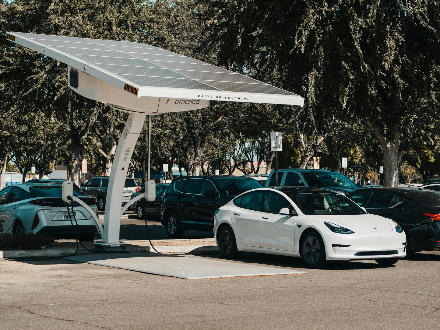 Tesla Model 3 2019 - 2021 AWD Long Range
