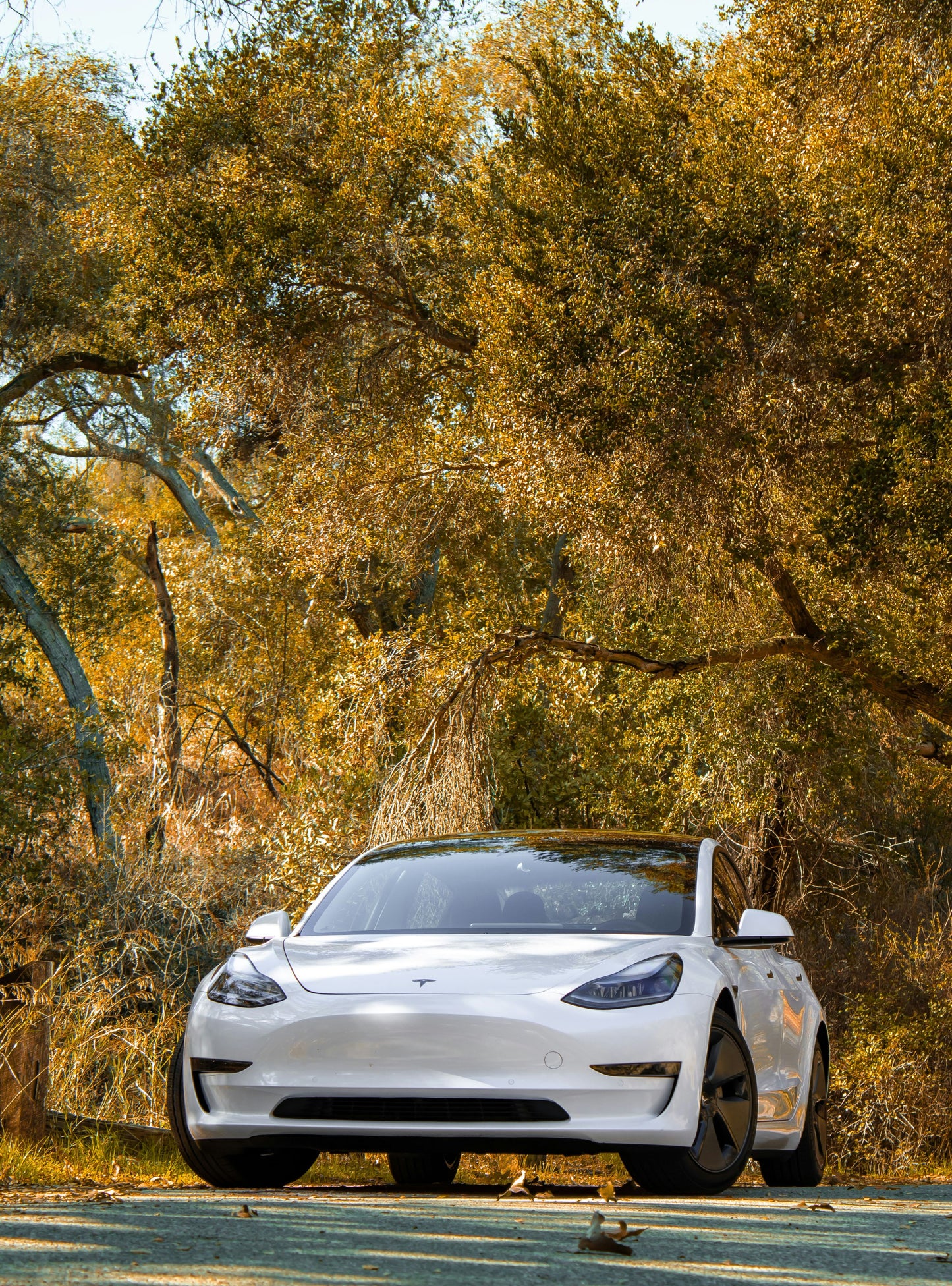 Tesla Model 3 2019 - 2021 AWD Long Range
