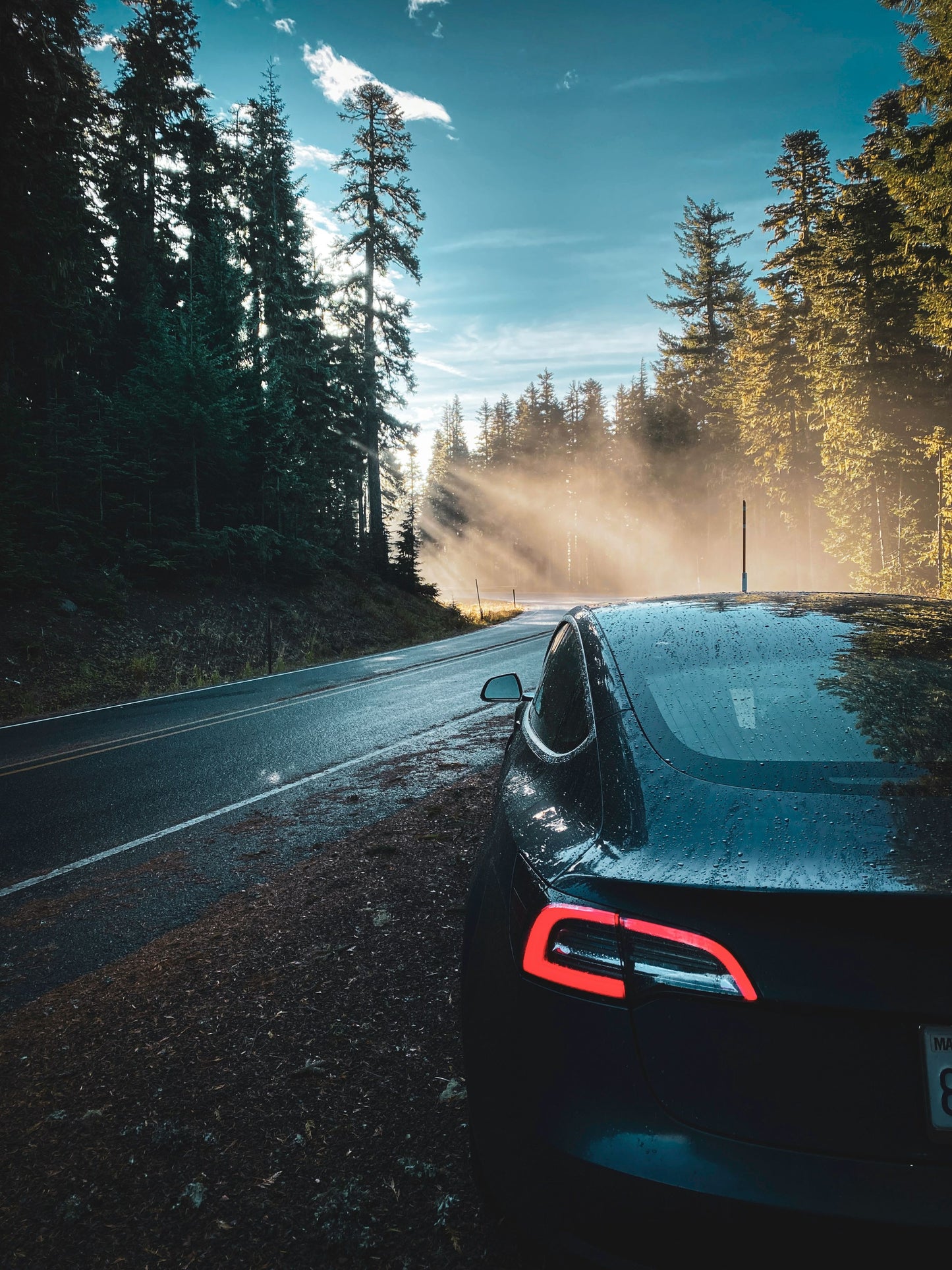 Tesla Model 3 2019 - 2021 AWD Long Range