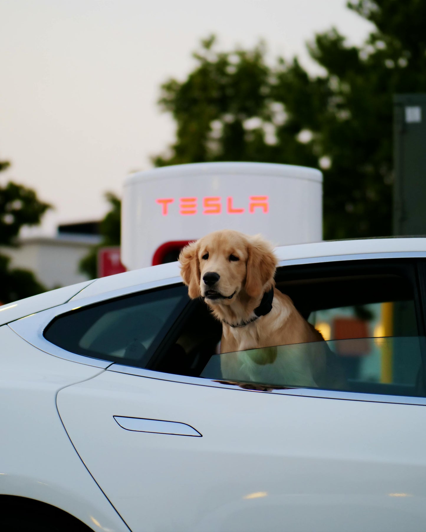 Tesla Model S 2016 - 2019 AWD ( 75D - 100D Kwh )