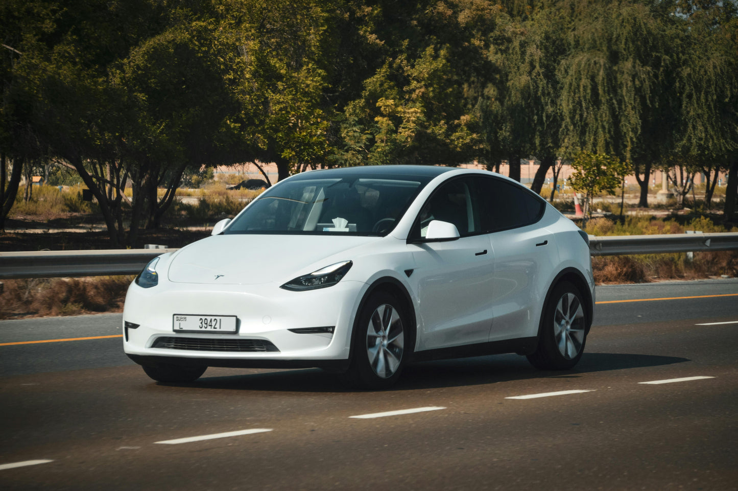 Tesla Model Y 2022 - 2024 AWD Long Range